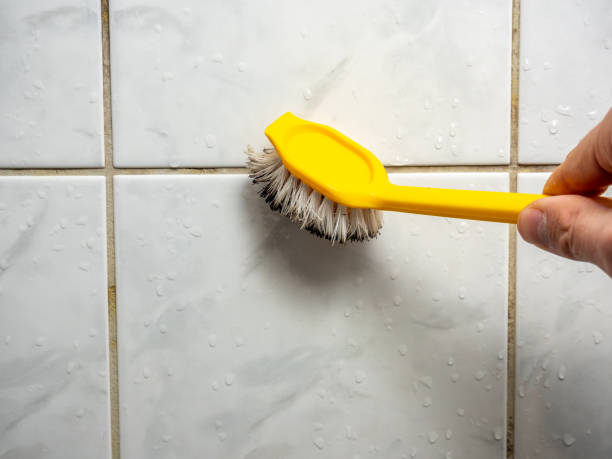 Best Toxic Mold Removal  in Four Cners, OR