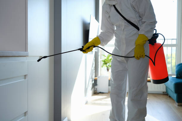Best Professional Mold Removal  in Four Cners, OR